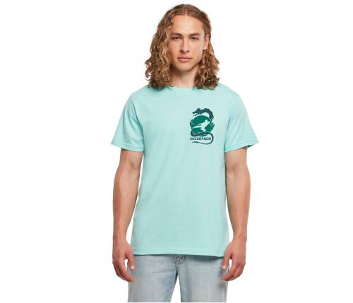 Dragon T-Shirt mehrarbig auf neo mint