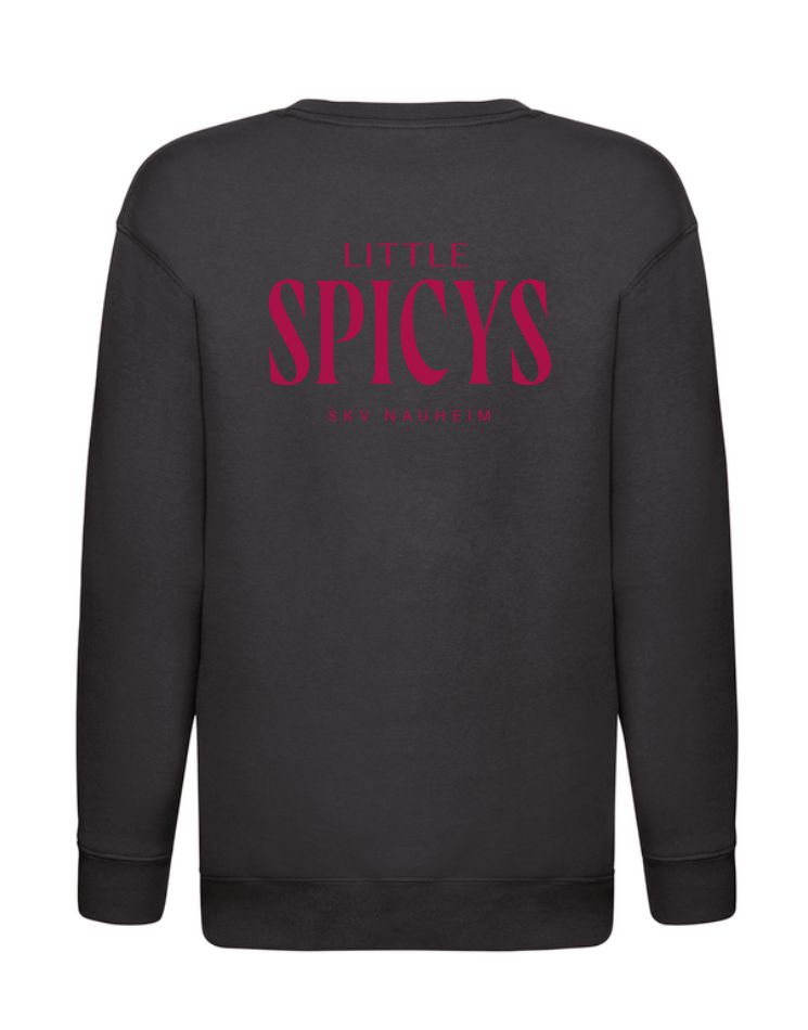 Pullover Littles klein