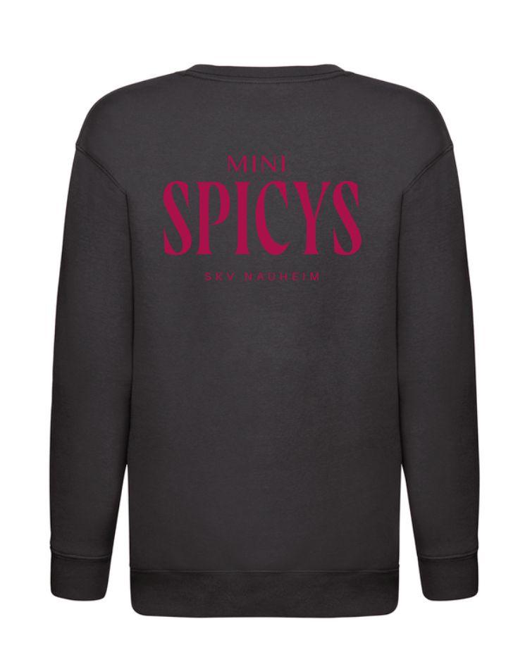 Pullover Minis klein